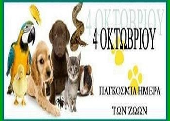 Aς δείξουμε με υπευθυνότητα την αγάπη μας στα ζώα