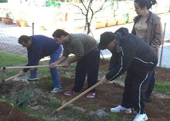 Δενδροφύτευση με τα  ΑμεΑ  «Σταύρος Κώτσης»