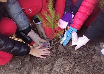 Ένα αισιόδοξο μήνυμα στις πλαγιές της Πεντέλης
