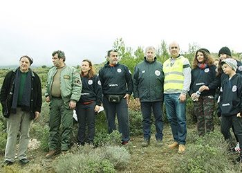 Αδιάκοπη αναδάσωση κόντρα στον καιρό