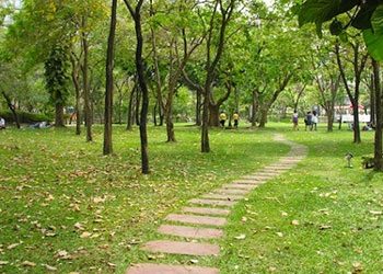 Συνεργασία με ιδιωτικά συνεργεία στο πράσινο!