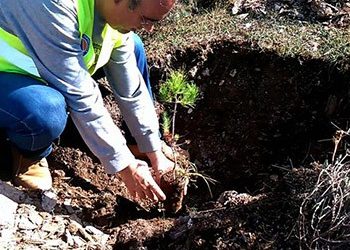 Κοκκιναράς: Δεύτερη εθελοντική αναδάσωση