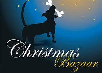 Χριστουγεννιάτικο Bazaar από τον SAPTHellas