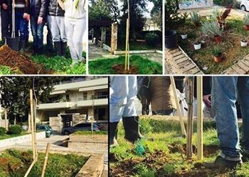 Δενδροφύτευση στην πλατεία Δημοκρατίας (ΙΟΛΑ)