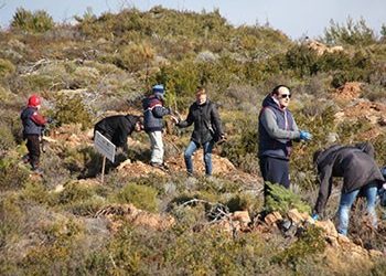 ΣΠΑΠ: Επιτυχημένη η 1η αναδάσωση της χρονιάς