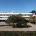 Ημέρα Πληροφόρησης στην Γερμανική Σχολή Αθηνών