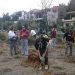 Επιτυχημένη η 1η εθελοντική αναδάσωση