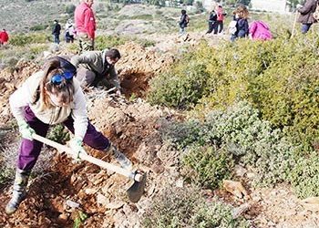 «Φυτεύω ένα δέντρο, συμβάλλω στην ελπίδα»