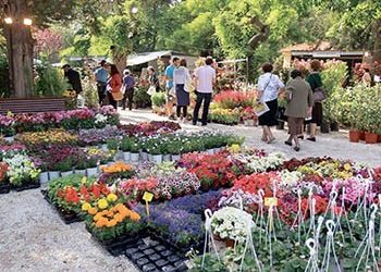 Πρόσκληση για συμμετοχή στην 63η Ανθοκομική Έκθεση