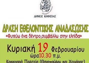 Οδηγίες για το πως να φυτέψουμε ένα δένδρο από τον Δήμο Κηφισιάς