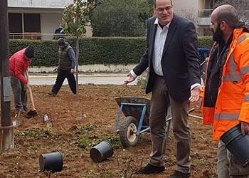 Παρεμβάσεις του τμήματος πρασίνου του Δήμου Κηφισιάς