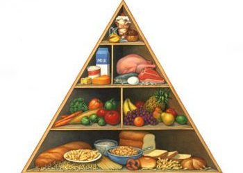 Πρόγραμμα διατροφικής εκπαίδευσης στους Παιδικούς Σταθμούς