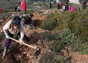 Δράση Αναδάσωσης την Κυριακή 2 Απριλίου