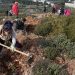 Δράση Αναδάσωσης την Κυριακή 2 Απριλίου