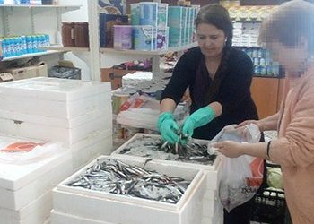 9η διανομή φρέσκων ψαριών από το Κοινωνικό Παντοπωλείο