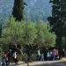 «Βοτανικός περίπατος στον Υμηττό»