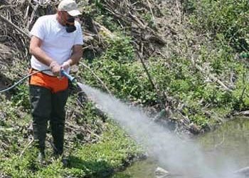 Στις 30 Μαρτίου οι πρώτοι  ψεκασμοί για τα κουνούπια