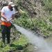 Στις 30 Μαρτίου οι πρώτοι  ψεκασμοί για τα κουνούπια