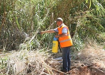 Απεντομώσεις στα ρέματα του Αμαρουσίου