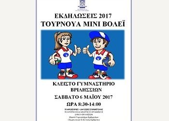Τουρνουά Mini Volley