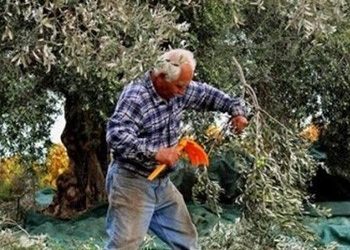 Έρχονται διαγραφές – εξπρές για τα «κόκκινα» δάνεια των αγροτών