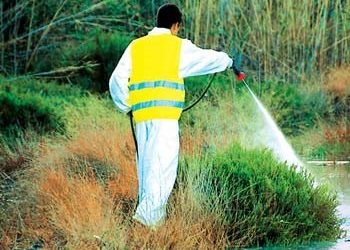 Έναρξη 2ου κύκλου εφαρμογής προγράμματος καταπολέμησης κουνουπιών για το έτος 2017