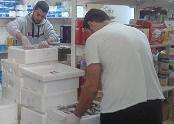 Νέα διανομή ψαριών στο Κοινωνικό Παντοπωλείο