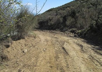 Εργασίες αποκατάστασης δασικών δρόμων από τον ΣΠΑΠ