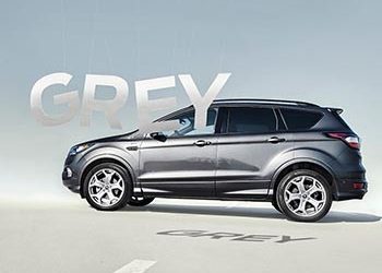 Πολιτική, Διανόηση και ‘Γκρι Μαλλί’ – Όλοι πάμε προς το Γκρι !