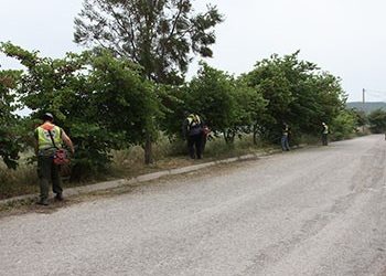 Καθαρισμός και αποψιλώσεις στους δήμους Αμαρουσίου και Ραφήνας-Πικερμίου από τον ΣΠΑΠ