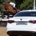Η AUTOONE στο «Alfa Romeo Grand Prix» του Ελληνικού Ιππικού Ομίλου!