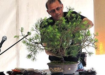 Bonsai και Σαρκοφάγα στην 63η Ανθοκομική Έκθεση Κηφισιάς