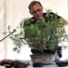 Bonsai και Σαρκοφάγα στην 63η Ανθοκομική Έκθεση Κηφισιάς