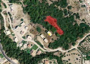 «Ήλθε η ώρα να επιλυθεί το θέμα των δασικών χαρτών»