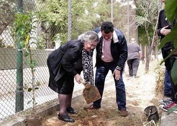 Δενδροφύτευση από μαθητές του 2ου Λυκείου Πεύκης