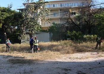 O ΣΠΑΠ συμμετείχε σε δράση καθαρισμού του  Αμαλία Φλέμινγκ (Πτέρυγα Μπόμπολα)