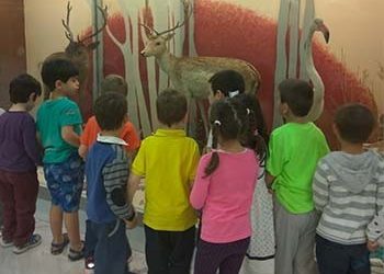 Επίσκεψη των Παιδικών Σταθμών στο Μουσείο Φυσικής Ιστορίας