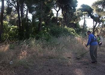 O ΣΠΑΠ σε καθαρισμό στο πρώην Νοσοκομείου Παπαδημητρίου