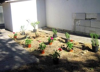 Χορηγία από το φυτώριο του Δήμου σε μονάδας φροντίδας ηλικιωμένων