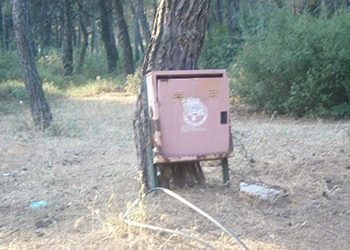 Α. Γκιζιώτης: «Ανησυχούμε για την πυροπροστασία στην Αγία Παρασκευή»