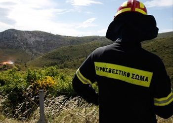 Φωτιά στο Κρυονέρι