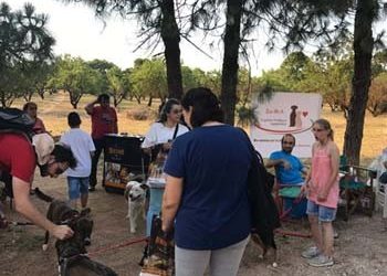 Γιορτή Φιλόζωων
