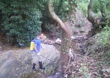 Πρόγραμμα Καταπολέμησης Κουνουπιών