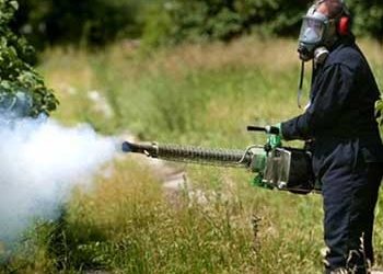 Πρόγραμμα Καταπολέμησης Κουνουπιών