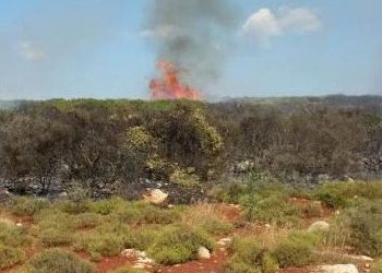 Μεσσηνία: Υπό μερικό έλεγχο η φωτιά στην Κορώνη