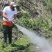 Ψεκασμοί για τα κουνούπια στις 22 Ιουνίου
