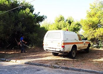 Καθαρισμός πυροφυλακίου στο δάσος Παπαδημητρίου