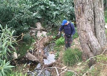 Πρόγραμμα Καταπολέμησης Κουνουπιών
