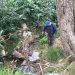Πρόγραμμα Καταπολέμησης Κουνουπιών