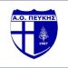 Ετοιμάζει γυναικείο τμήμα ποδοσφαίρου ο Α.Ο Πεύκης